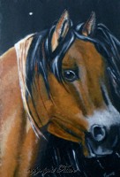 /album/galerie-photos/un-air-canaille-jpg1/